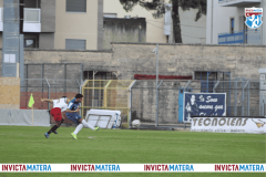 Copia di Progetto senza titolo - 1