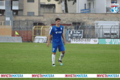 Copia di Progetto senza titolo - 1